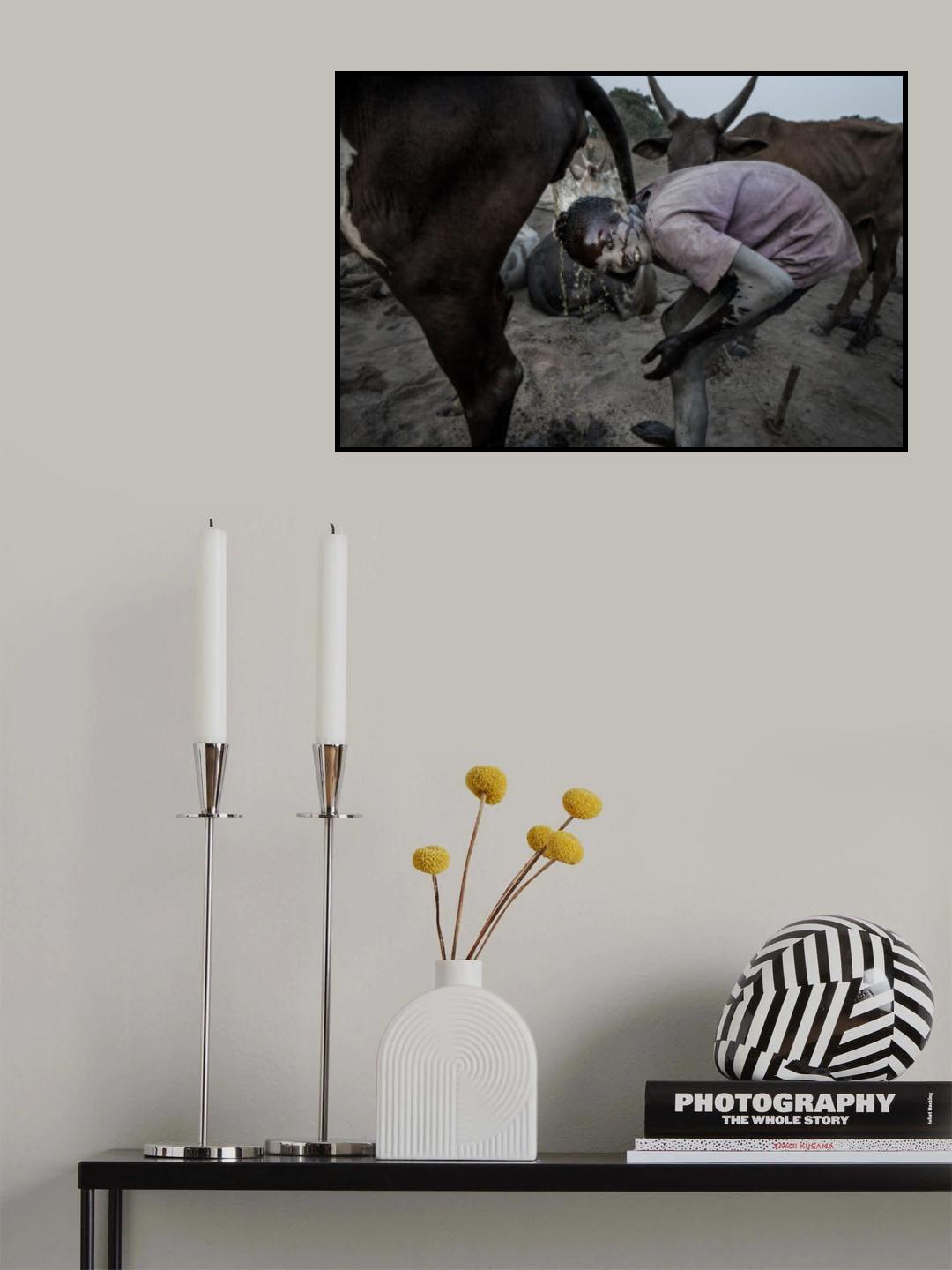 Mundari tribe child cleaning his head with cow urine - South Sudan Poster och Canvastavla