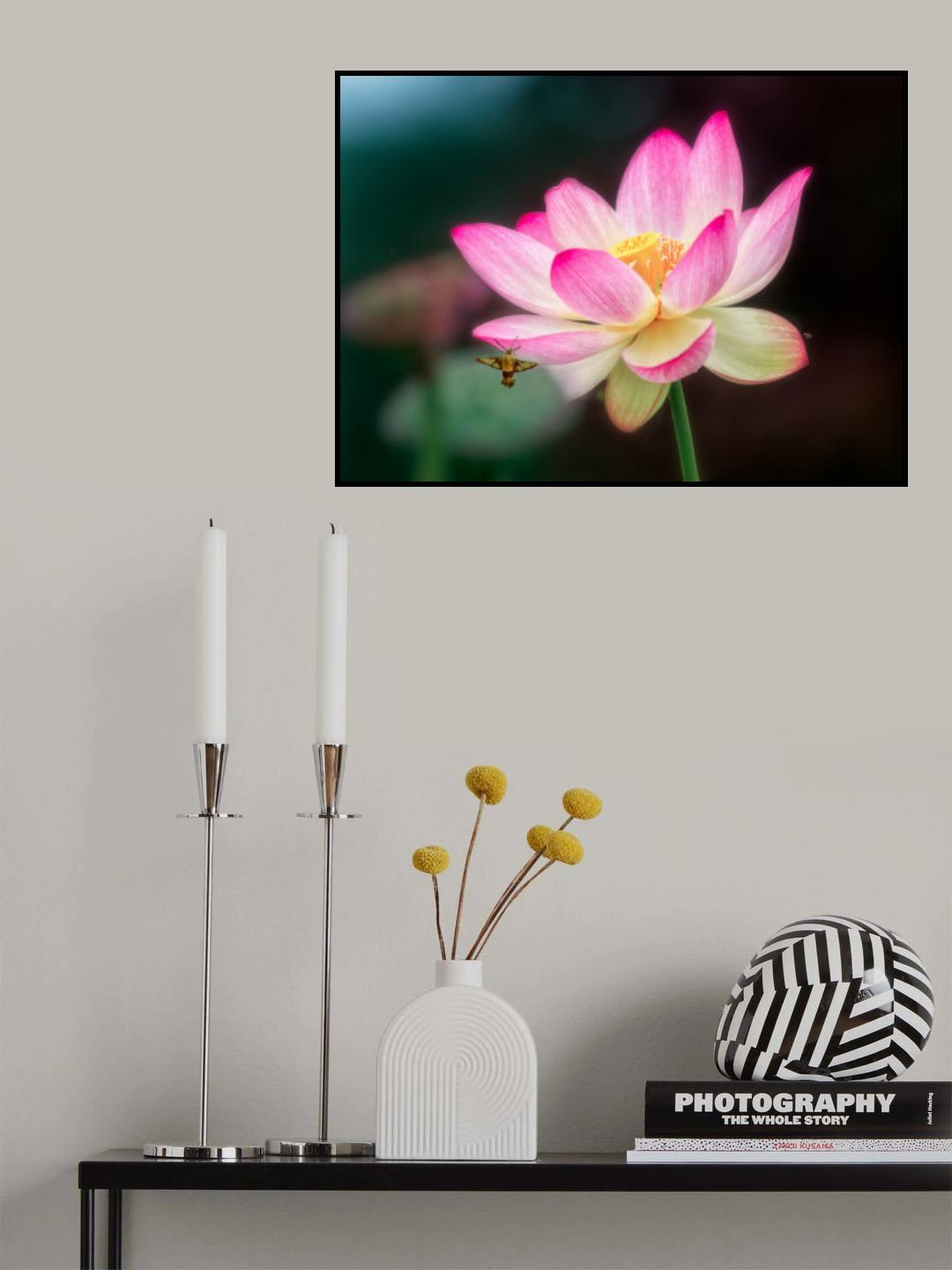The Lotus Poster och Canvastavla