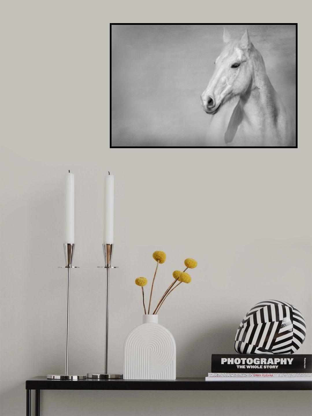 The Grey Horse Poster och Canvastavla