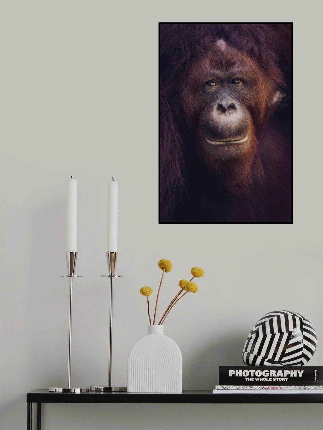 Eyes of Borneo Poster och Canvastavla