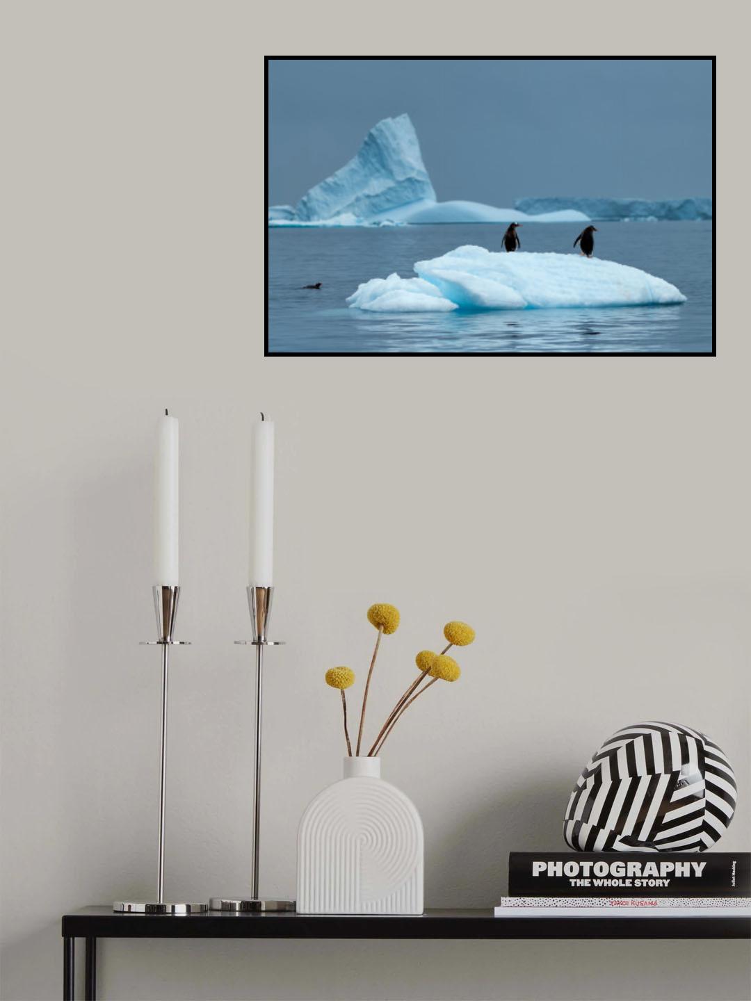 Transportation in Antarctica Poster och Canvastavla