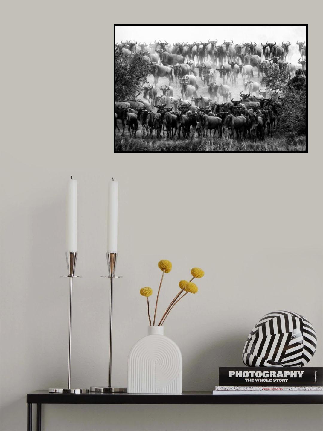 Rise Poster och Canvastavla