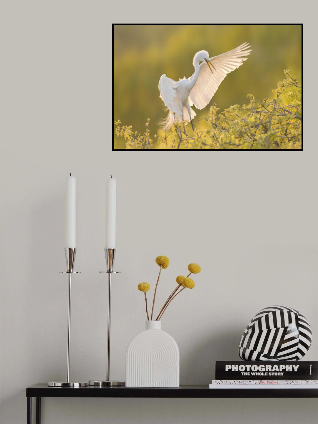 Happy Landing Poster och Canvastavla