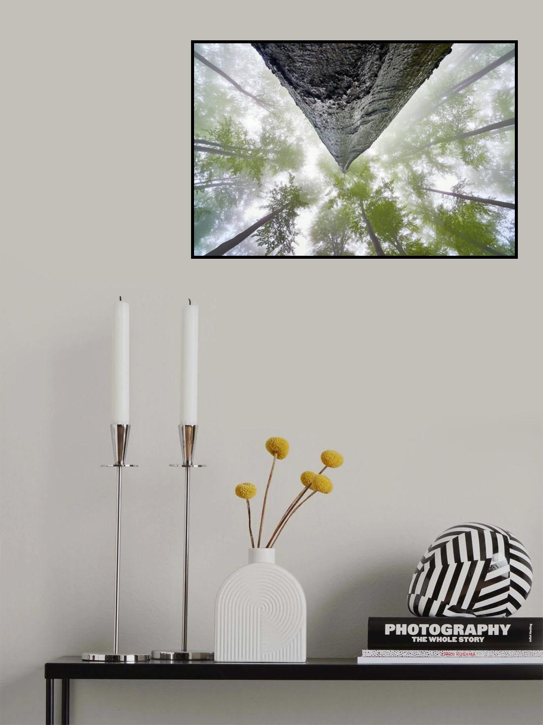 Looking up Poster och Canvastavla