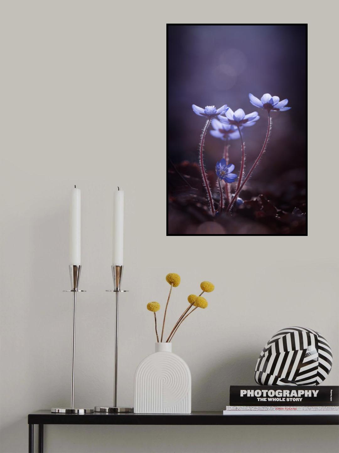 Some light for dark days Poster och Canvastavla