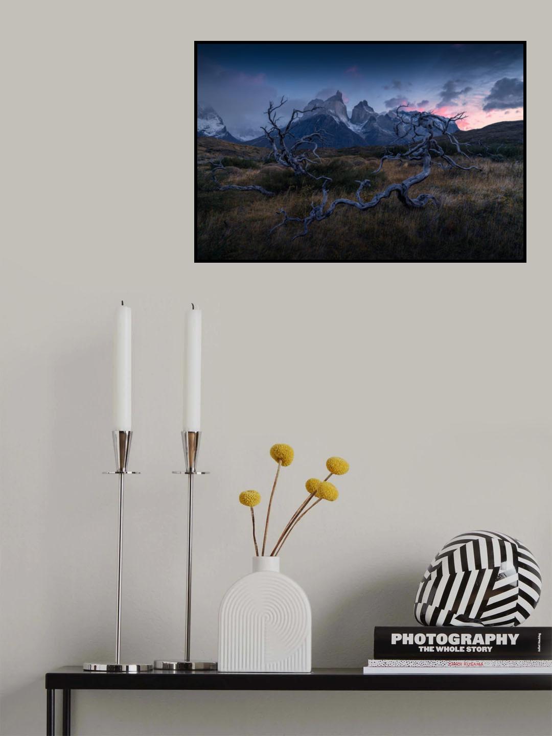 Torres del Paine Poster och Canvastavla