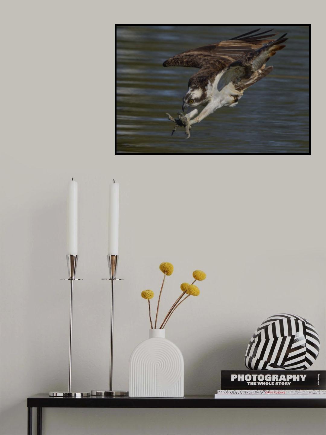 Diving Poster och Canvastavla