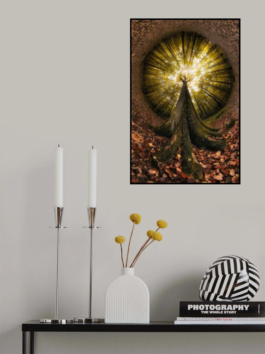 Four centuries high Poster och Canvastavla