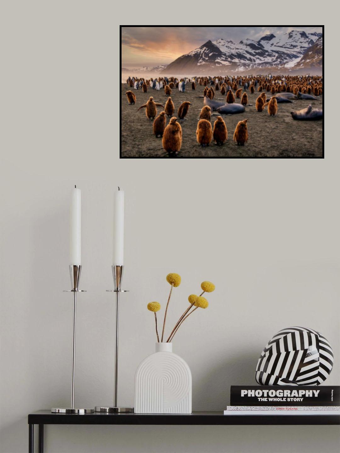 Wildlife Heaven Poster och Canvastavla