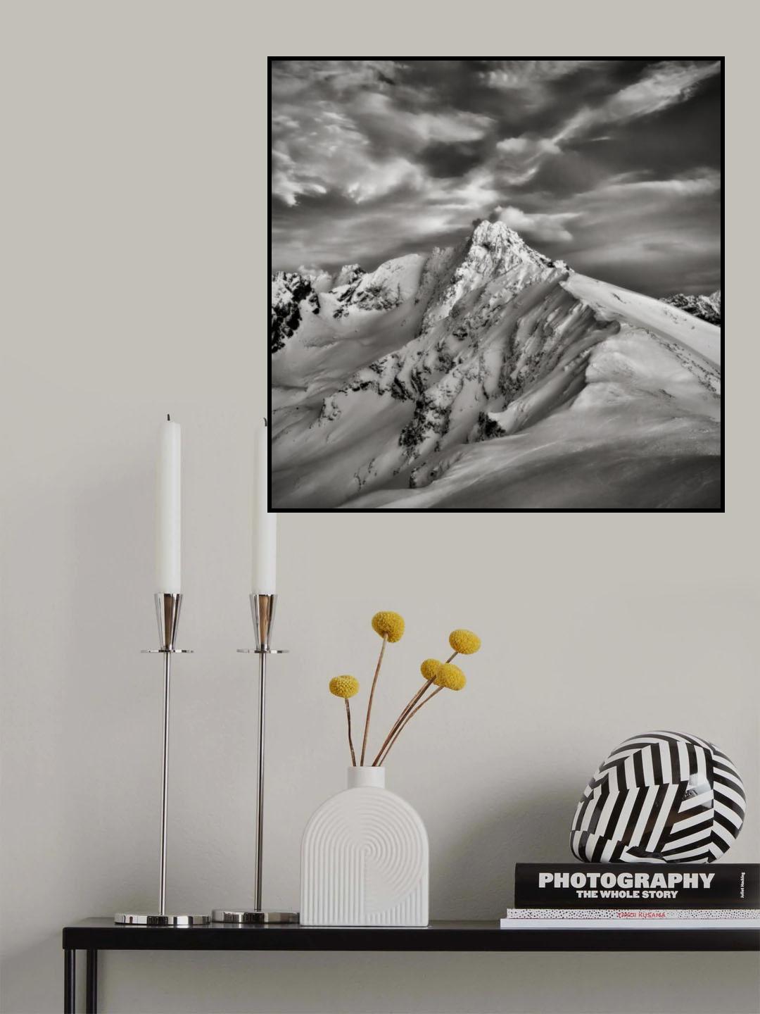 Swinica Poster och Canvastavla
