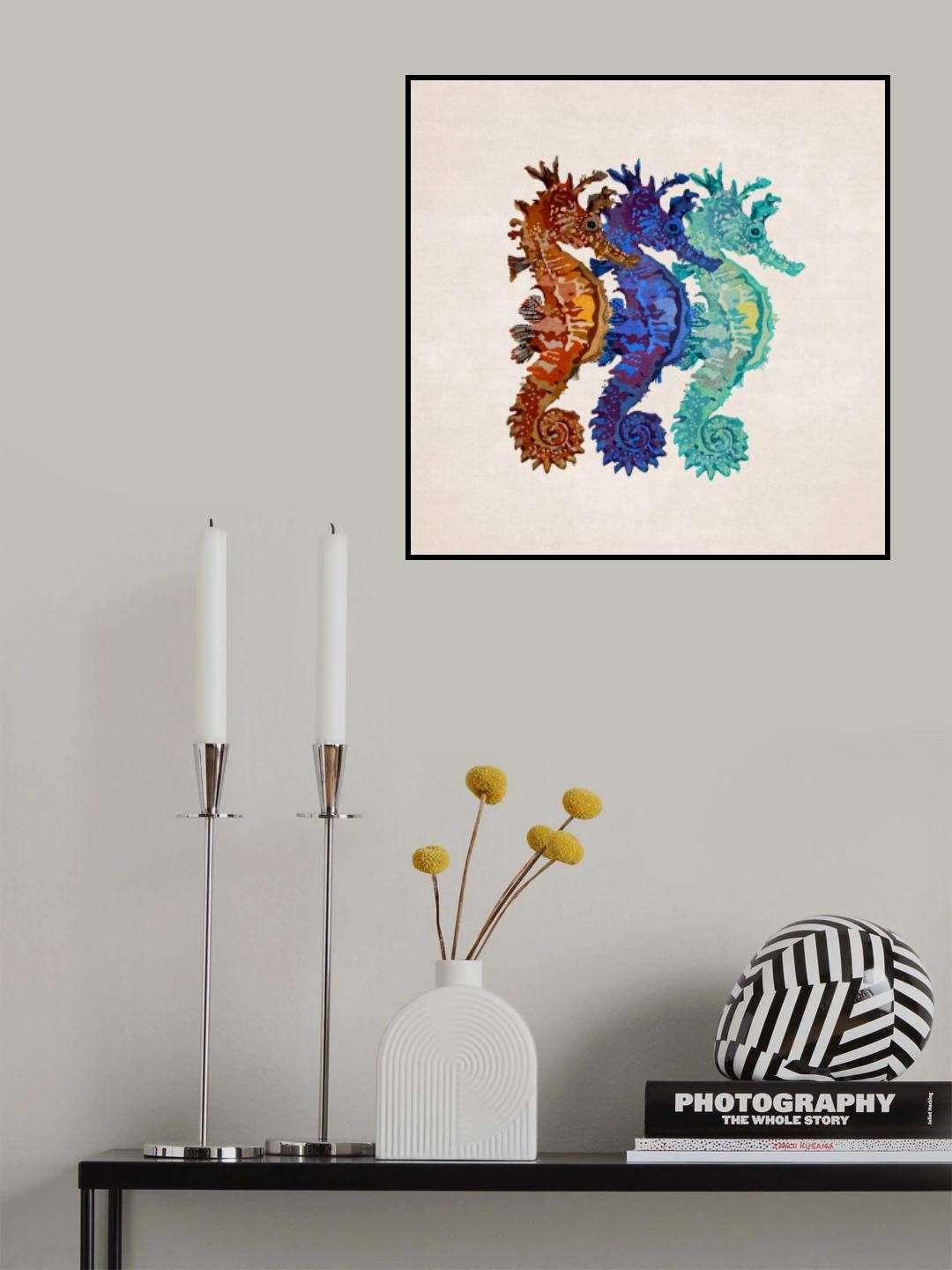 Denizatlari Poster och Canvastavla
