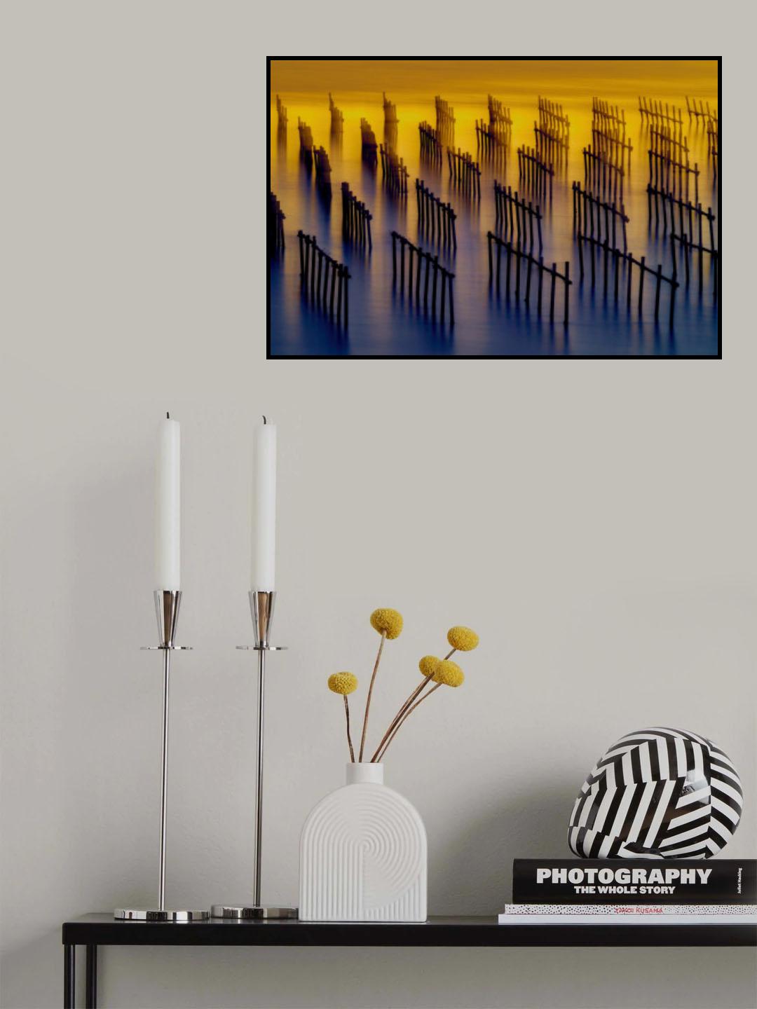 oyster sheds light and shadow water flow Poster och Canvastavla