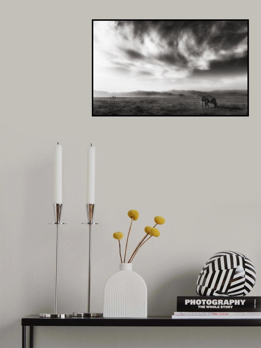 Kingdom 2 Poster och Canvastavla