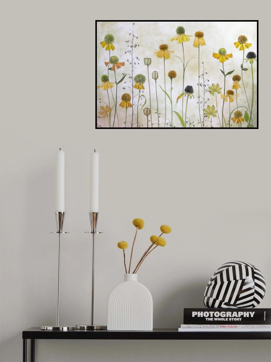 Helenium Poster och Canvastavla