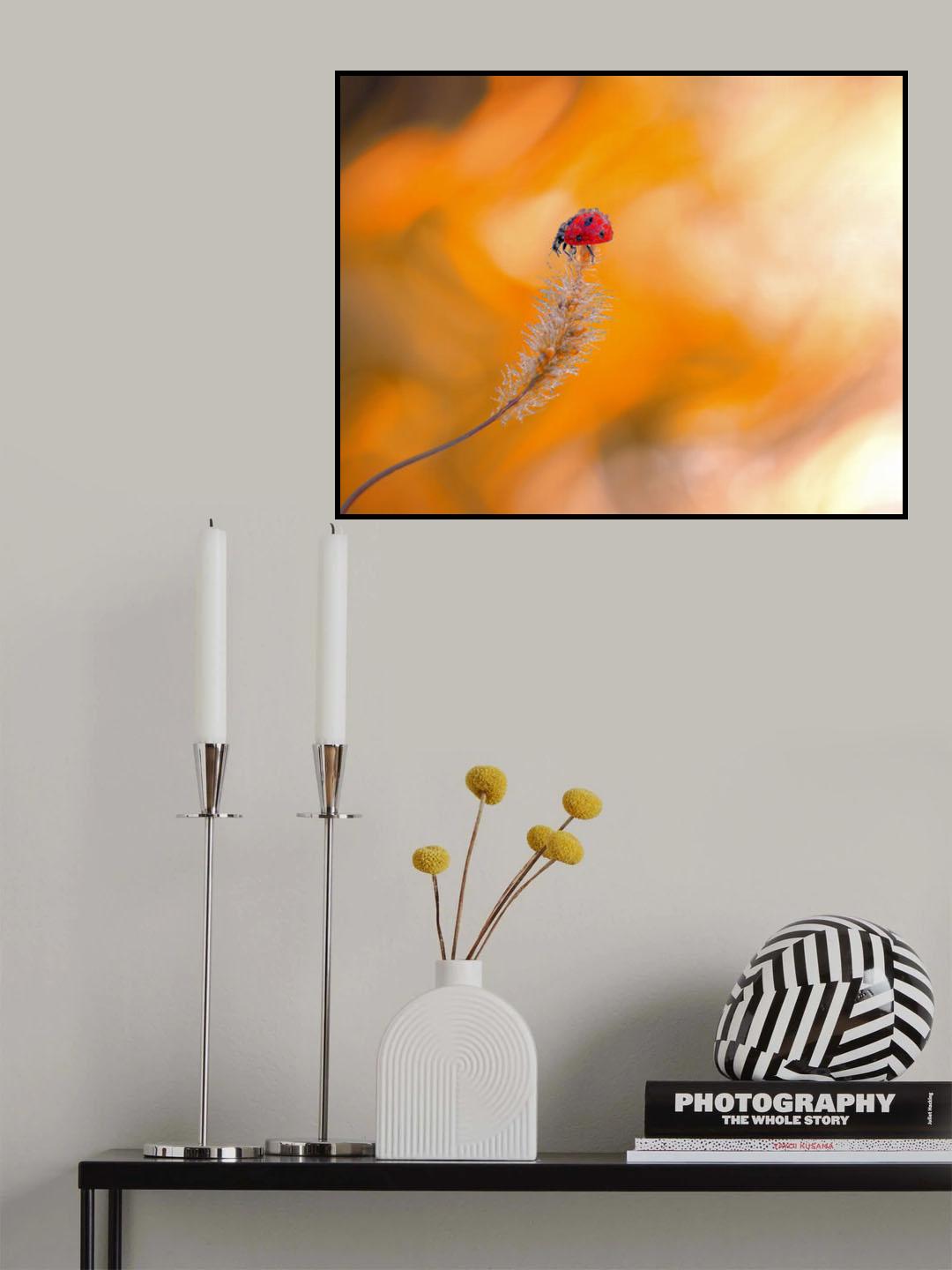 In the storm... Poster och Canvastavla