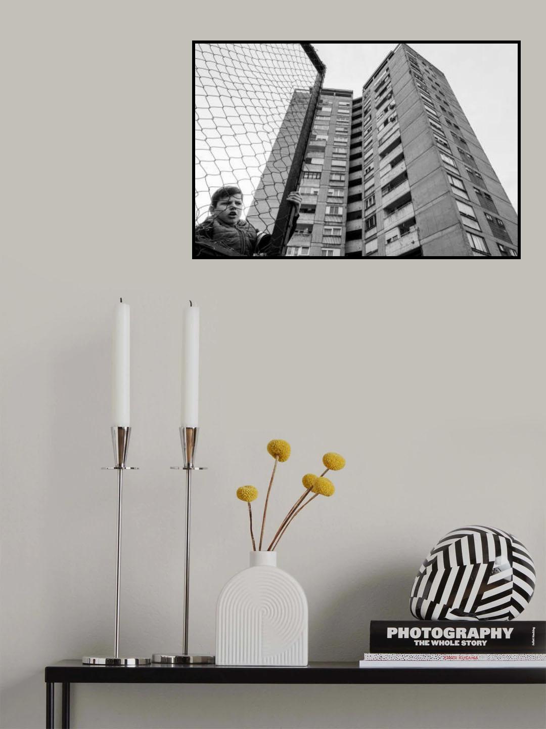 The boy behind the fence Poster och Canvastavla