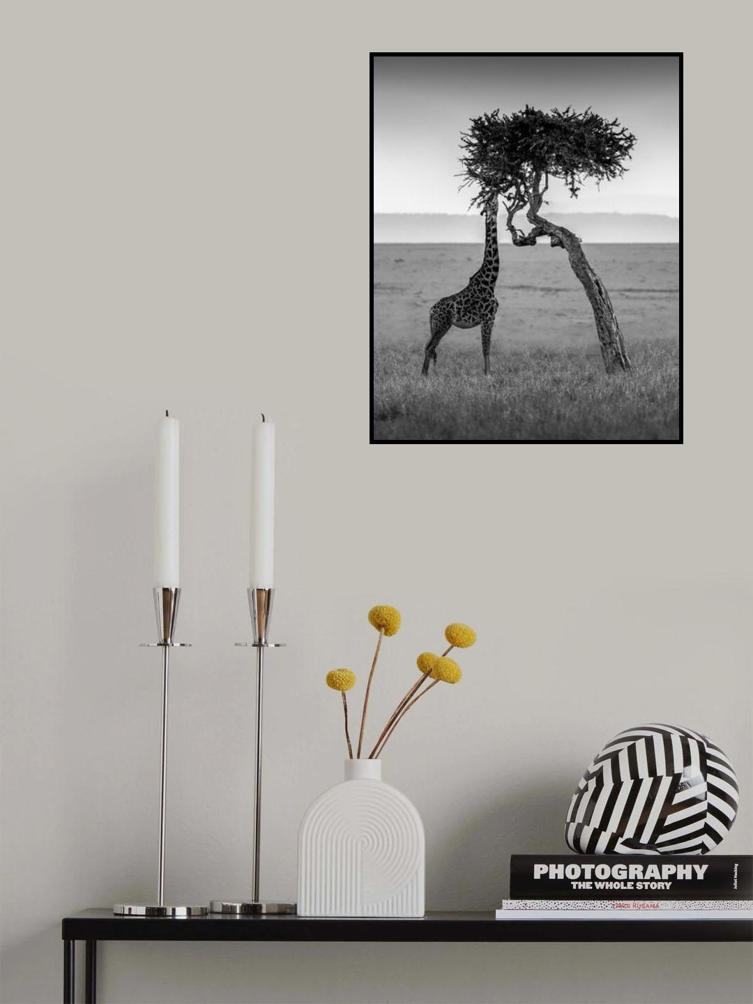 The Only Way Poster och Canvastavla
