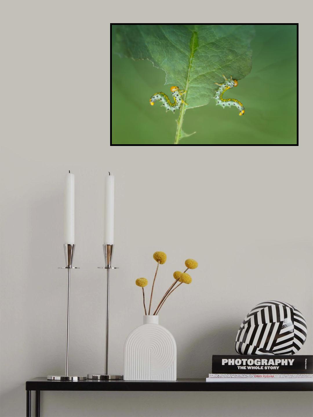 Let's Dance Poster och Canvastavla
