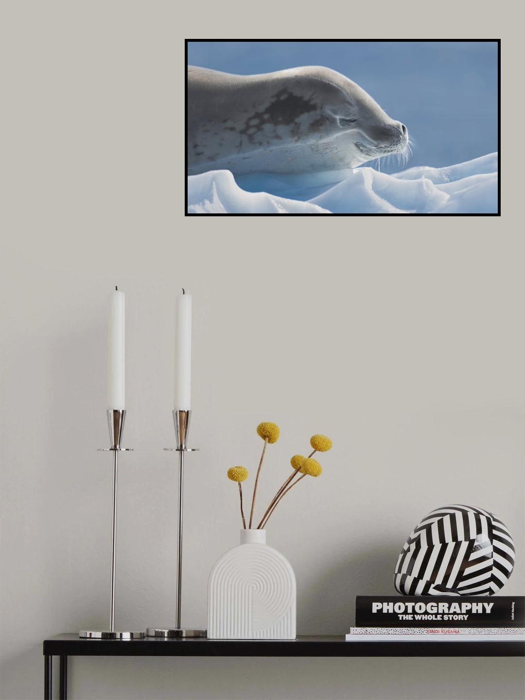 peaceful Poster och Canvastavla