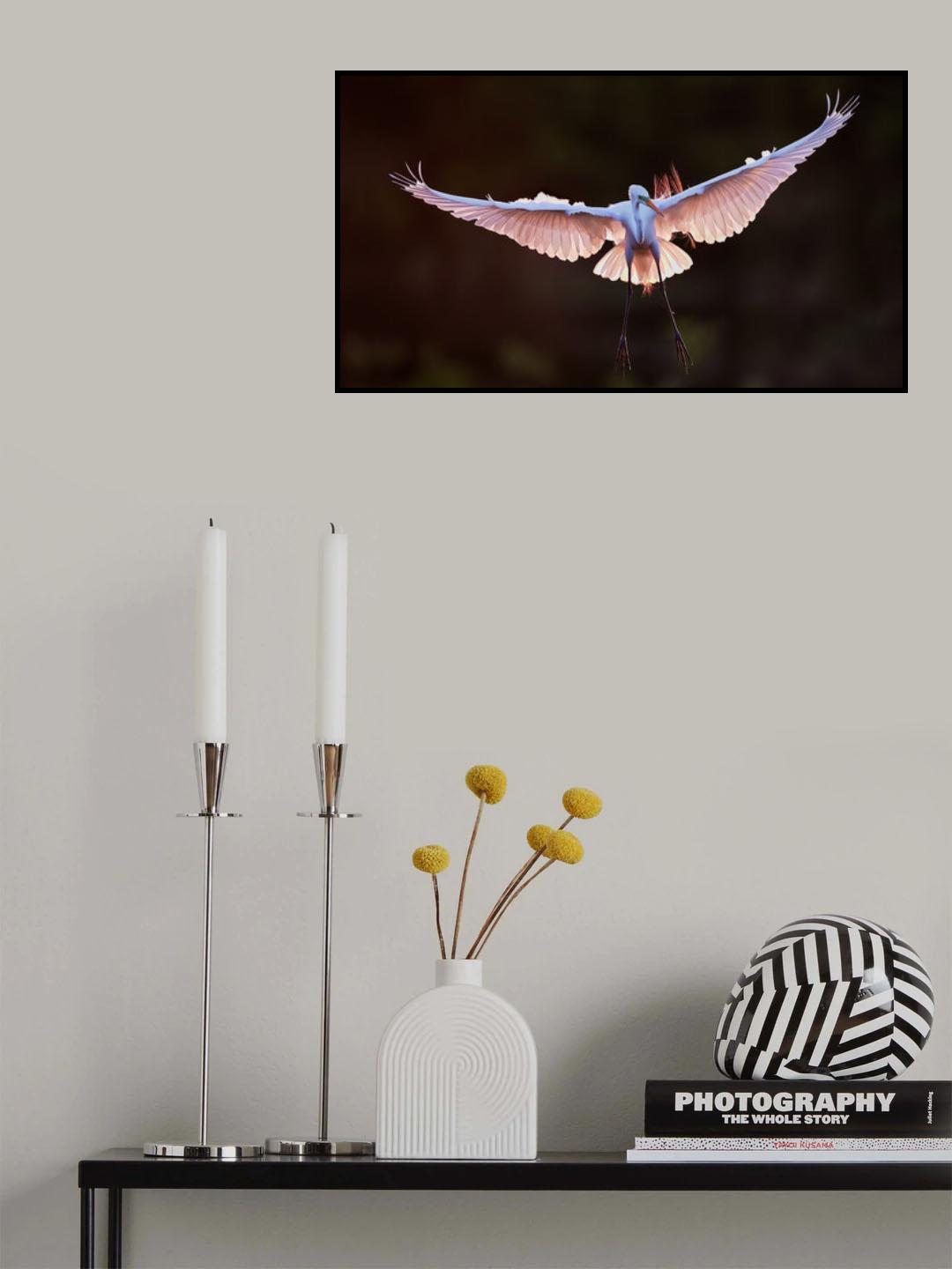 Landing Poster och Canvastavla