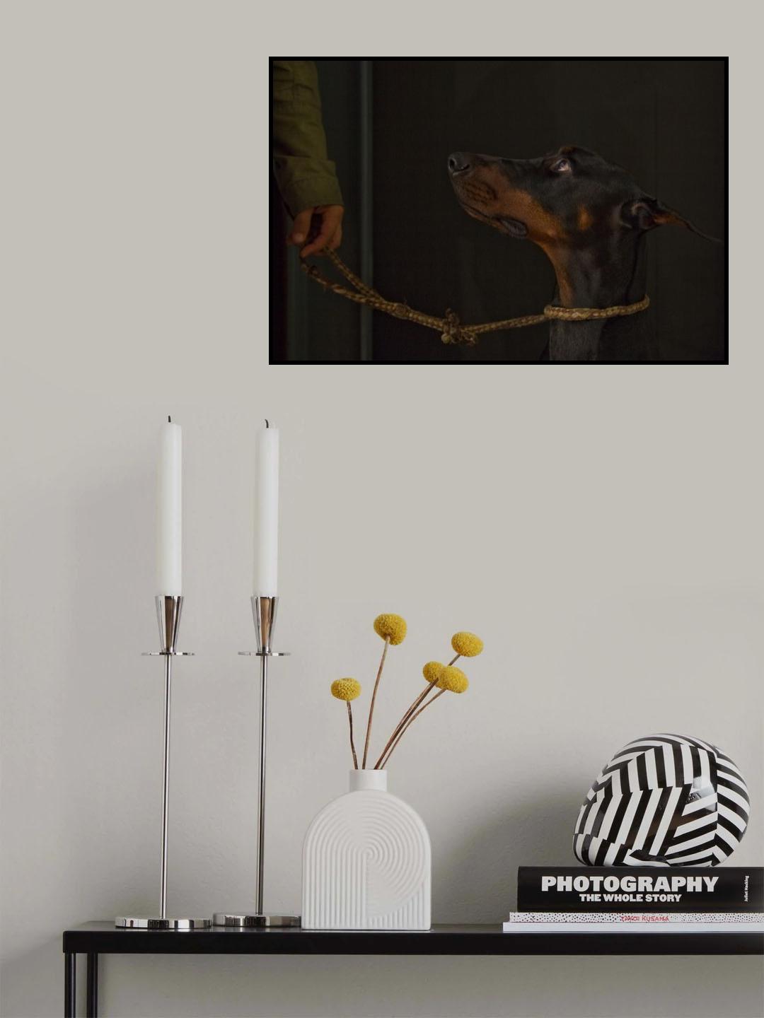 Le regarde Poster och Canvastavla