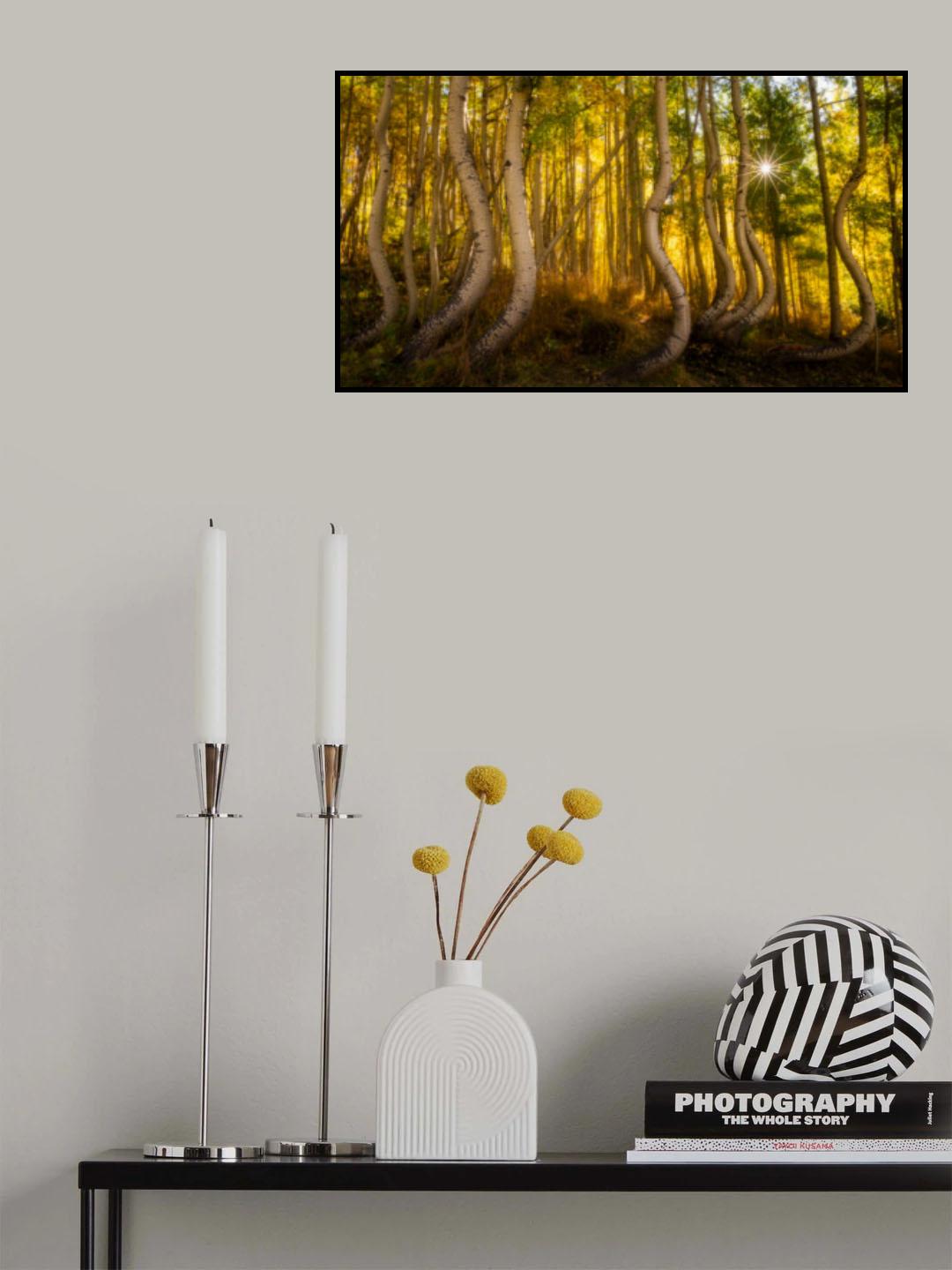 Dancing in the sun Poster och Canvastavla