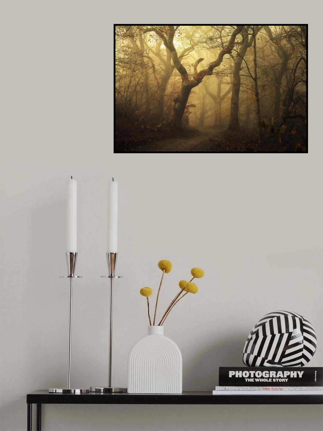 Forest Poster och Canvastavla
