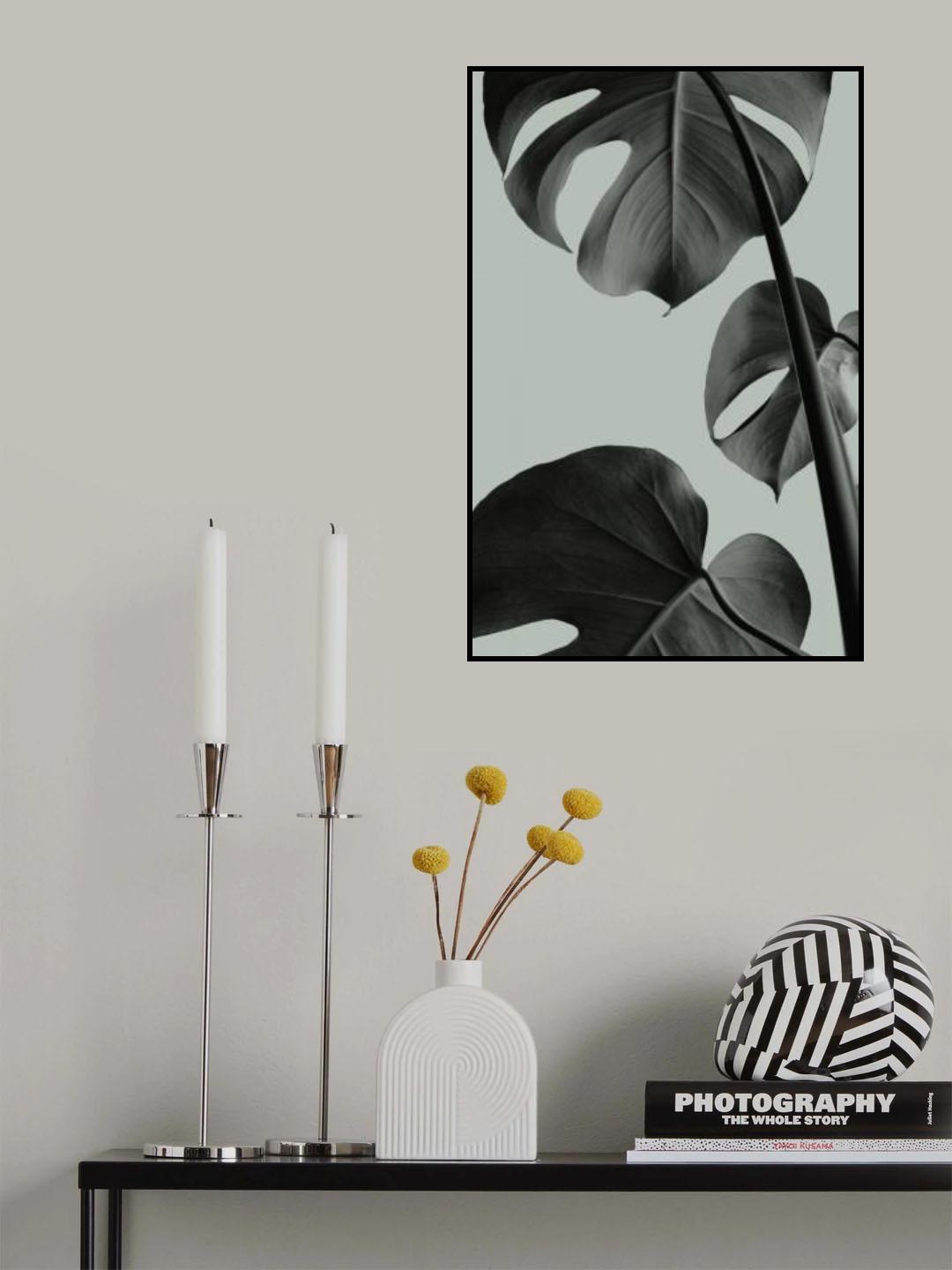 Monstera Teal 03 Poster och Canvastavla