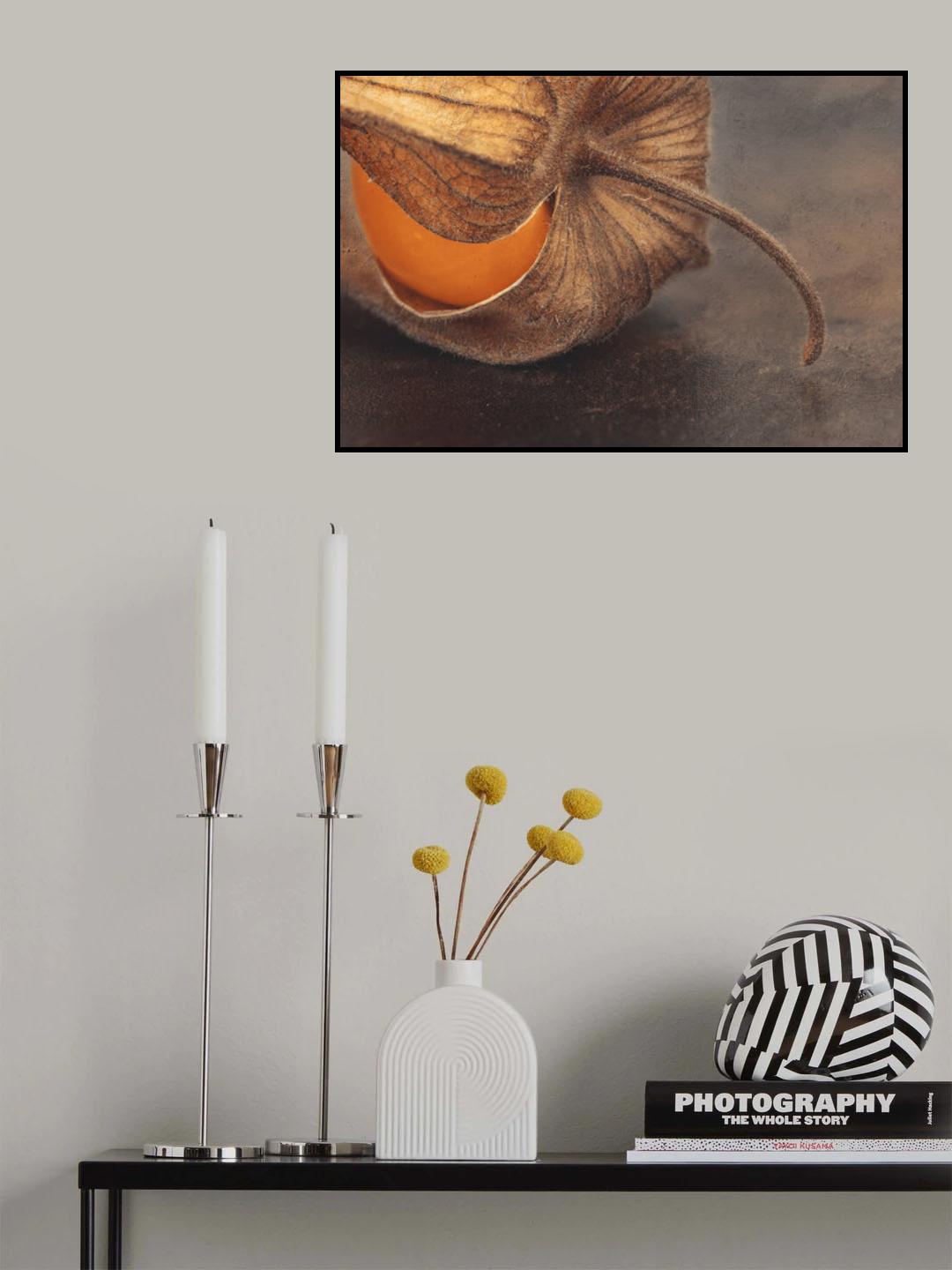 Jew's Cherry ... Poster och Canvastavla