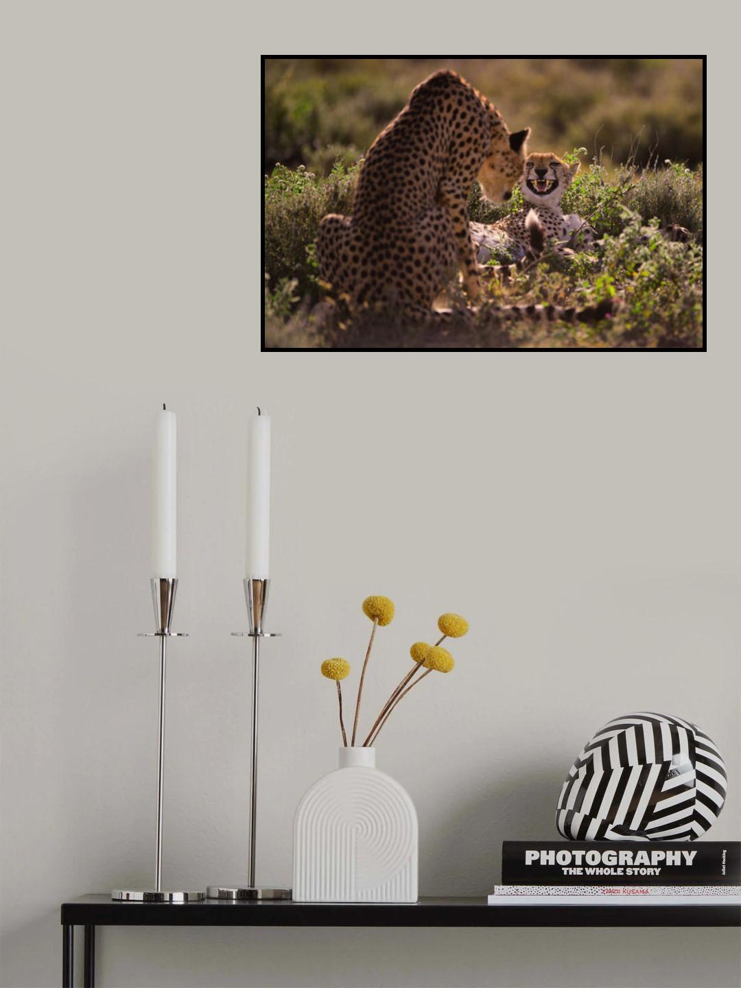 Stay Away Poster och Canvastavla