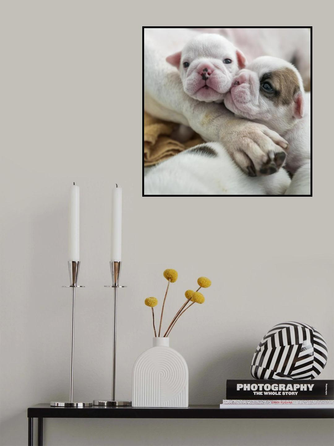 Siblings Poster och Canvastavla
