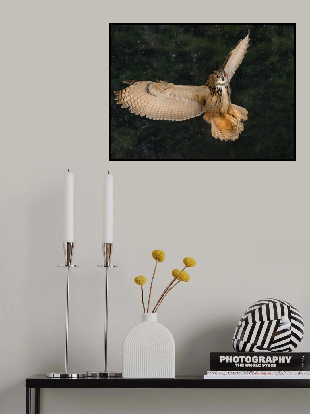 Eurasian Eagle Owl Poster och Canvastavla