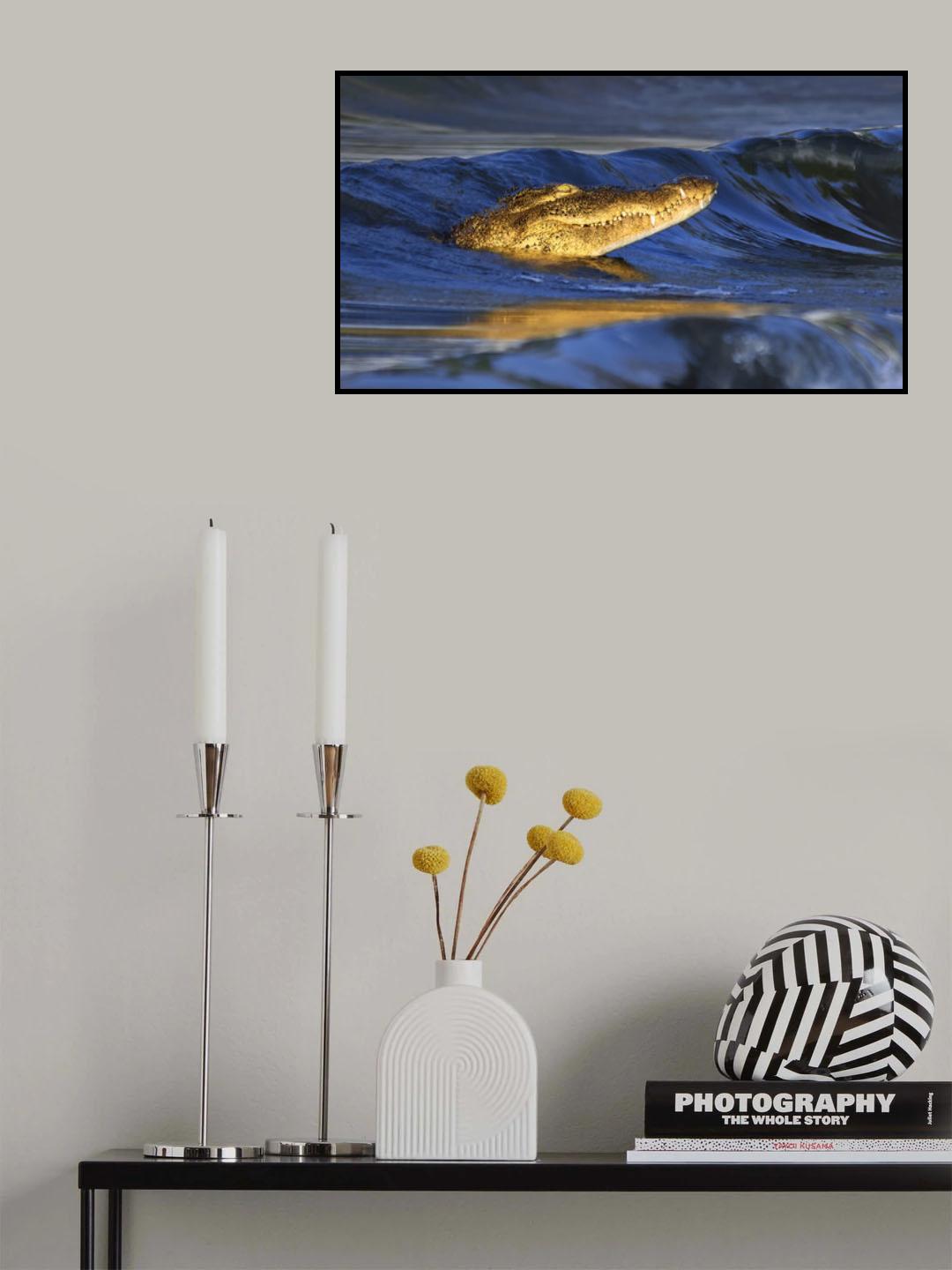Crocodile Surfing in Sunset Poster och Canvastavla