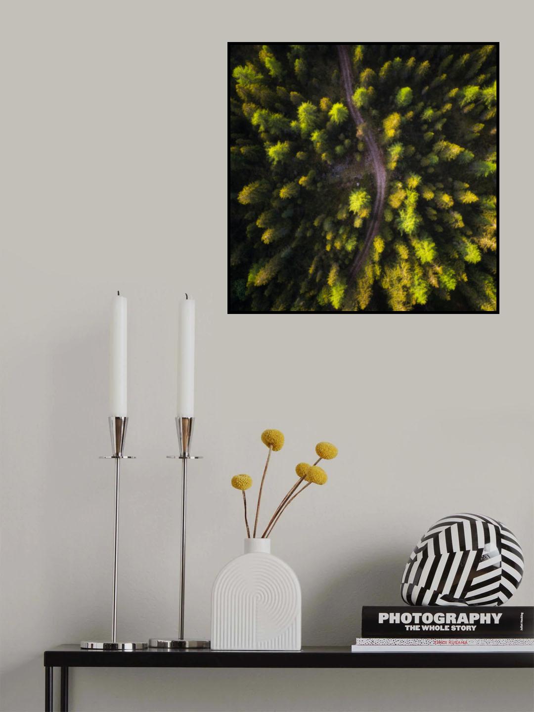 Abstract Forest View Poster och Canvastavla