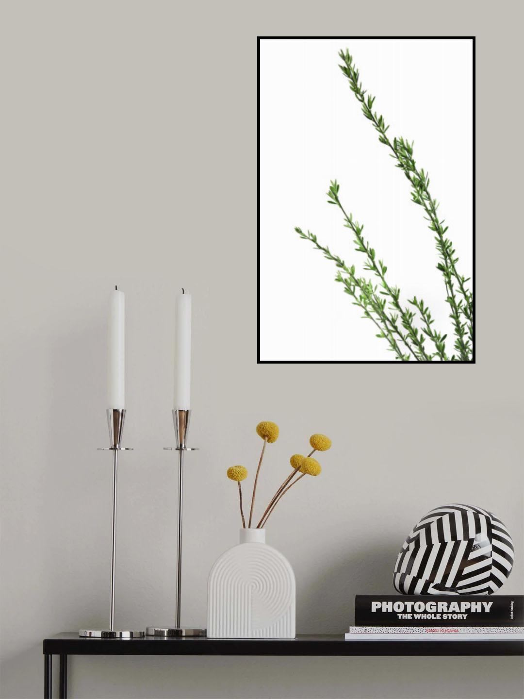 Little green branches Poster och Canvastavla