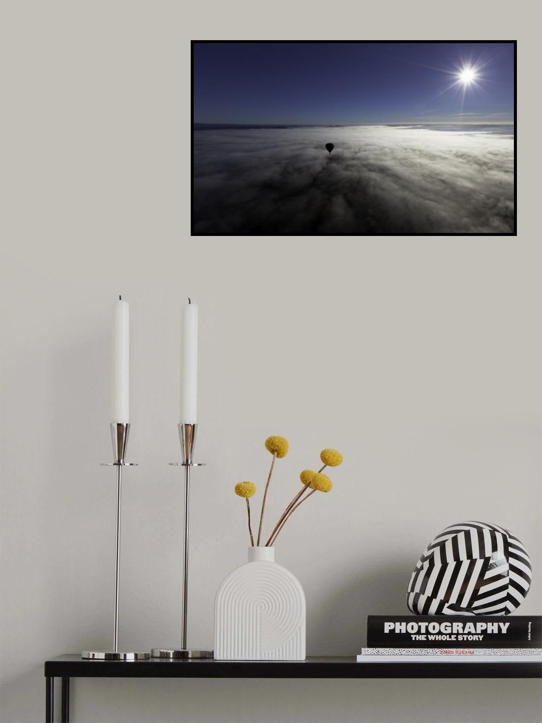 fly Poster och Canvastavla