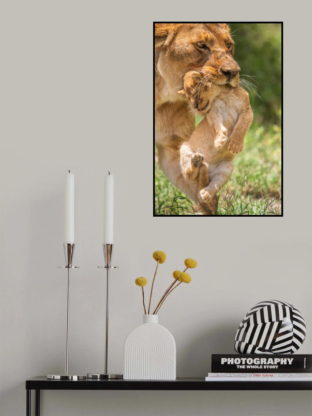 Cuteness transported Poster och Canvastavla