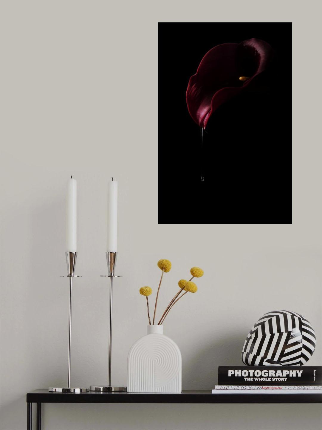 Dripping red Poster och Canvastavla