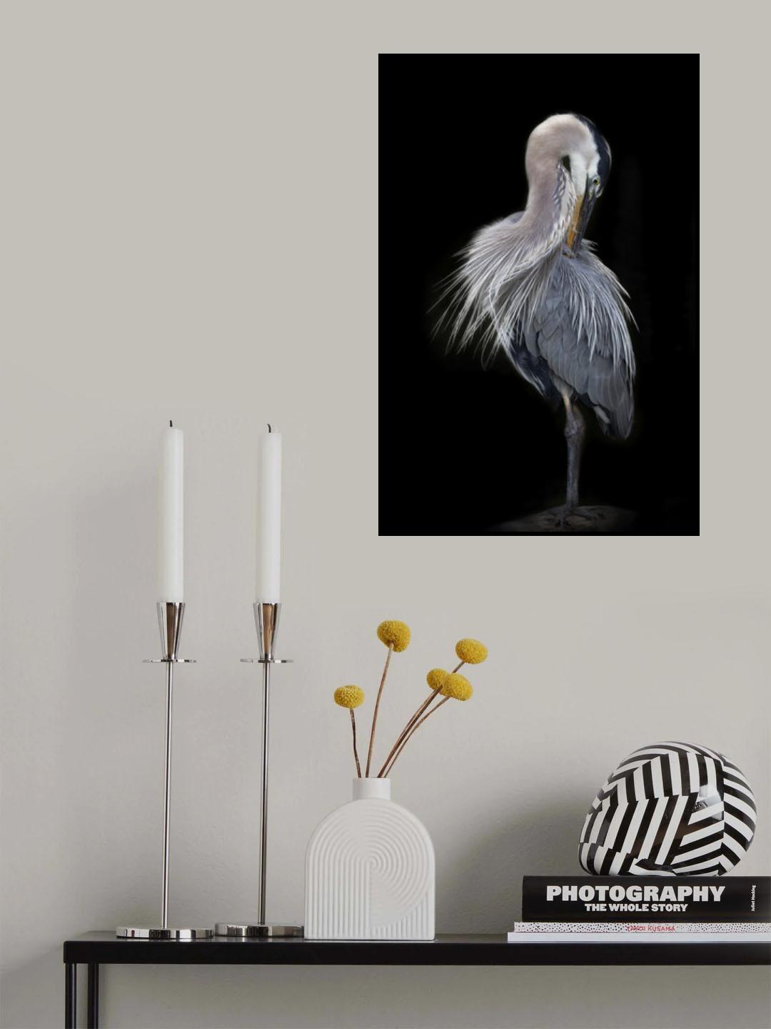 The Elegant Great Blue Heron Poster och Canvastavla