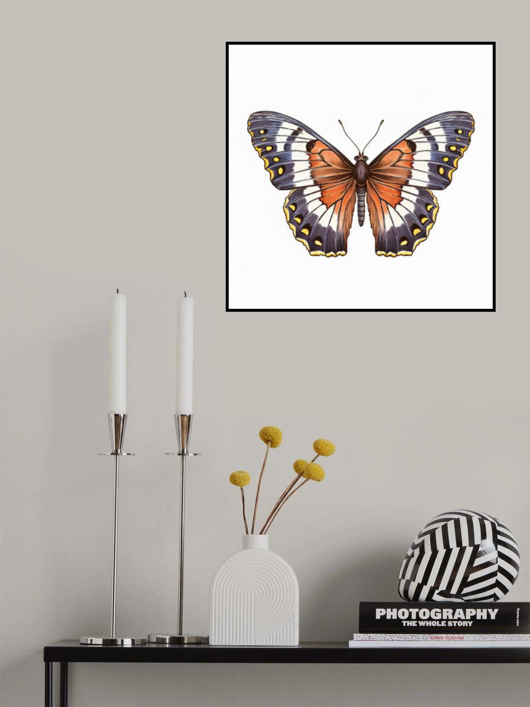 Butterfly 17 Poster och Canvastavla