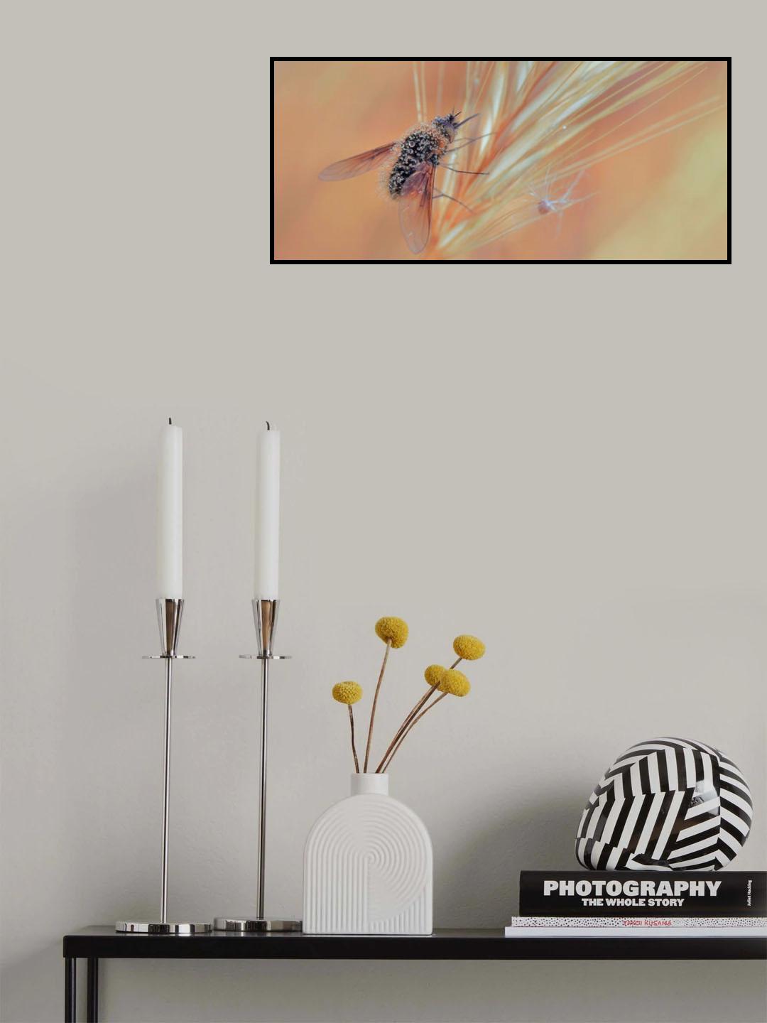 Morning and dew ... Poster och Canvastavla