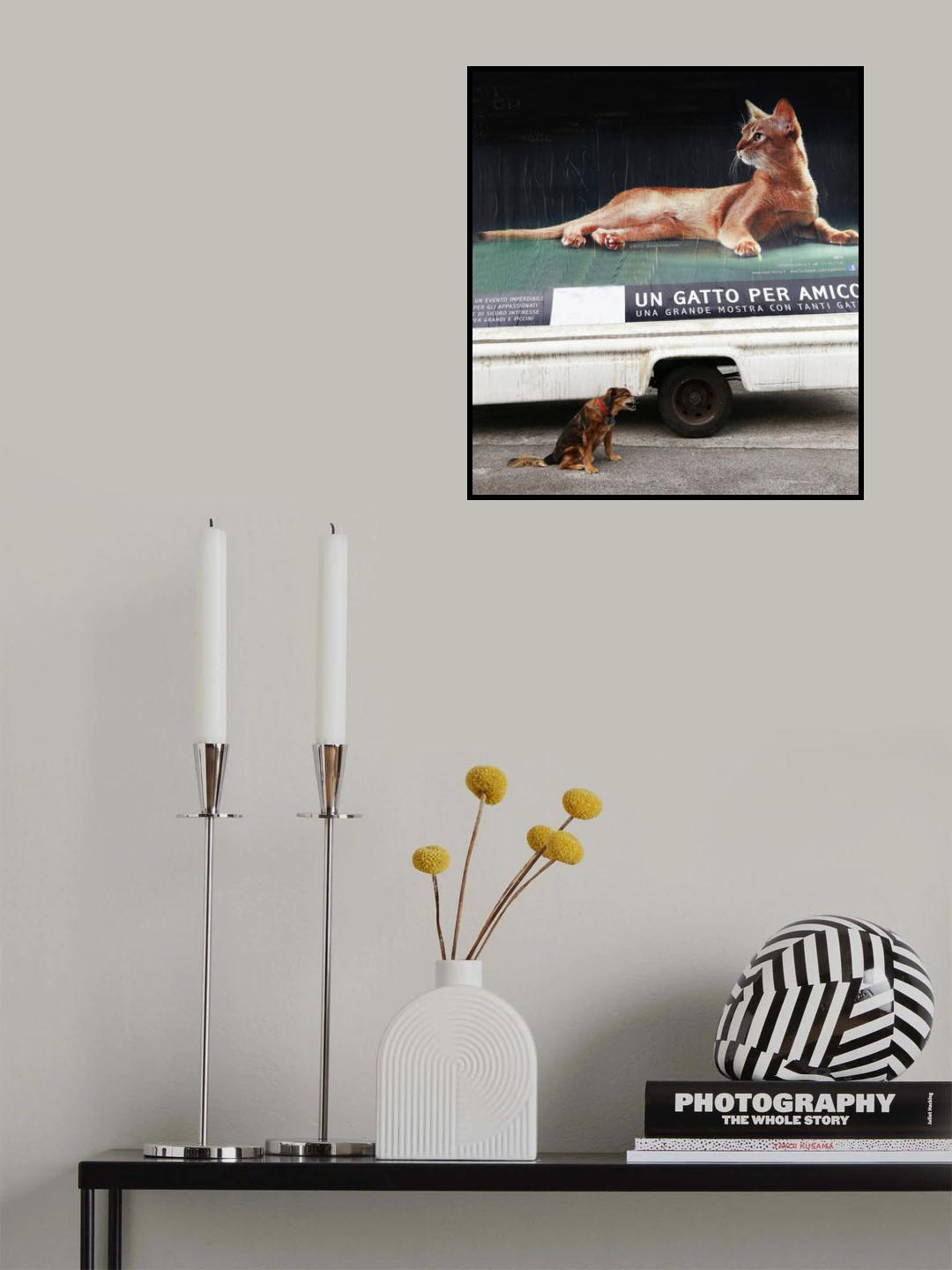 amico!!! Poster och Canvastavla