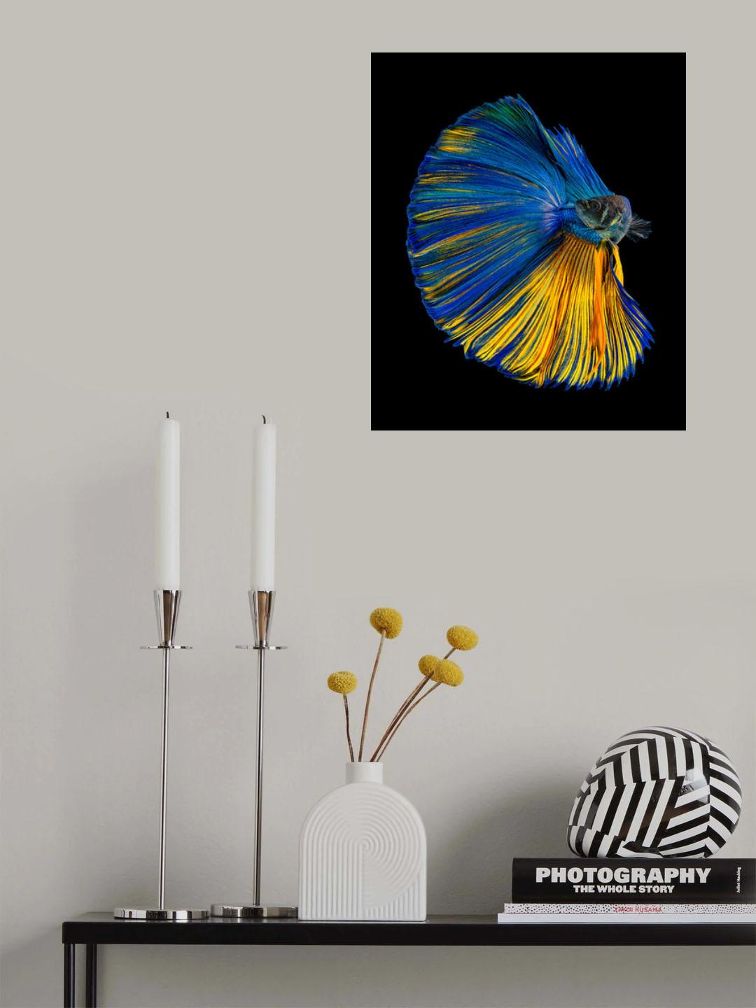 Yellow & Blue Poster och Canvastavla