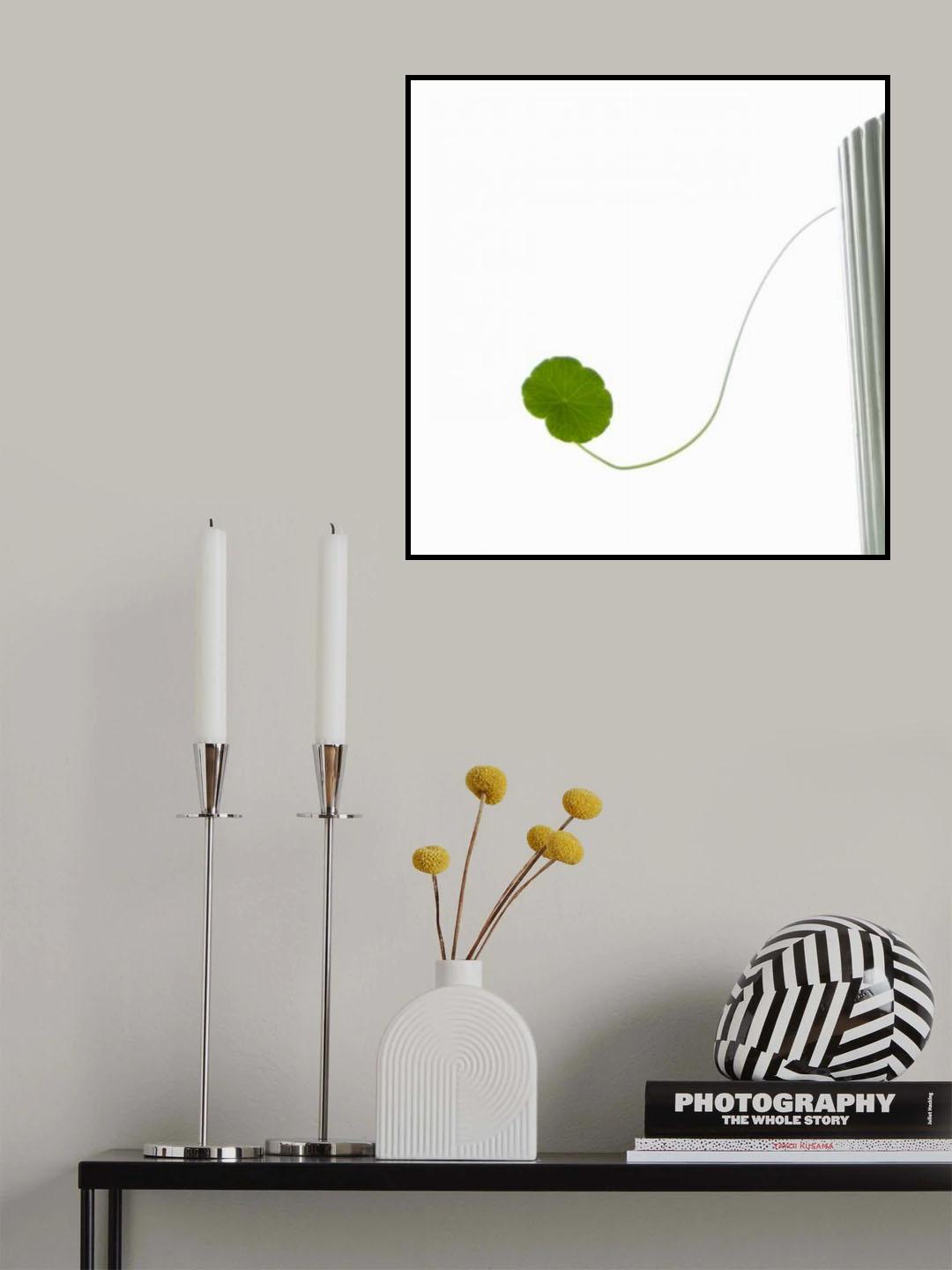 Outlier Poster och Canvastavla