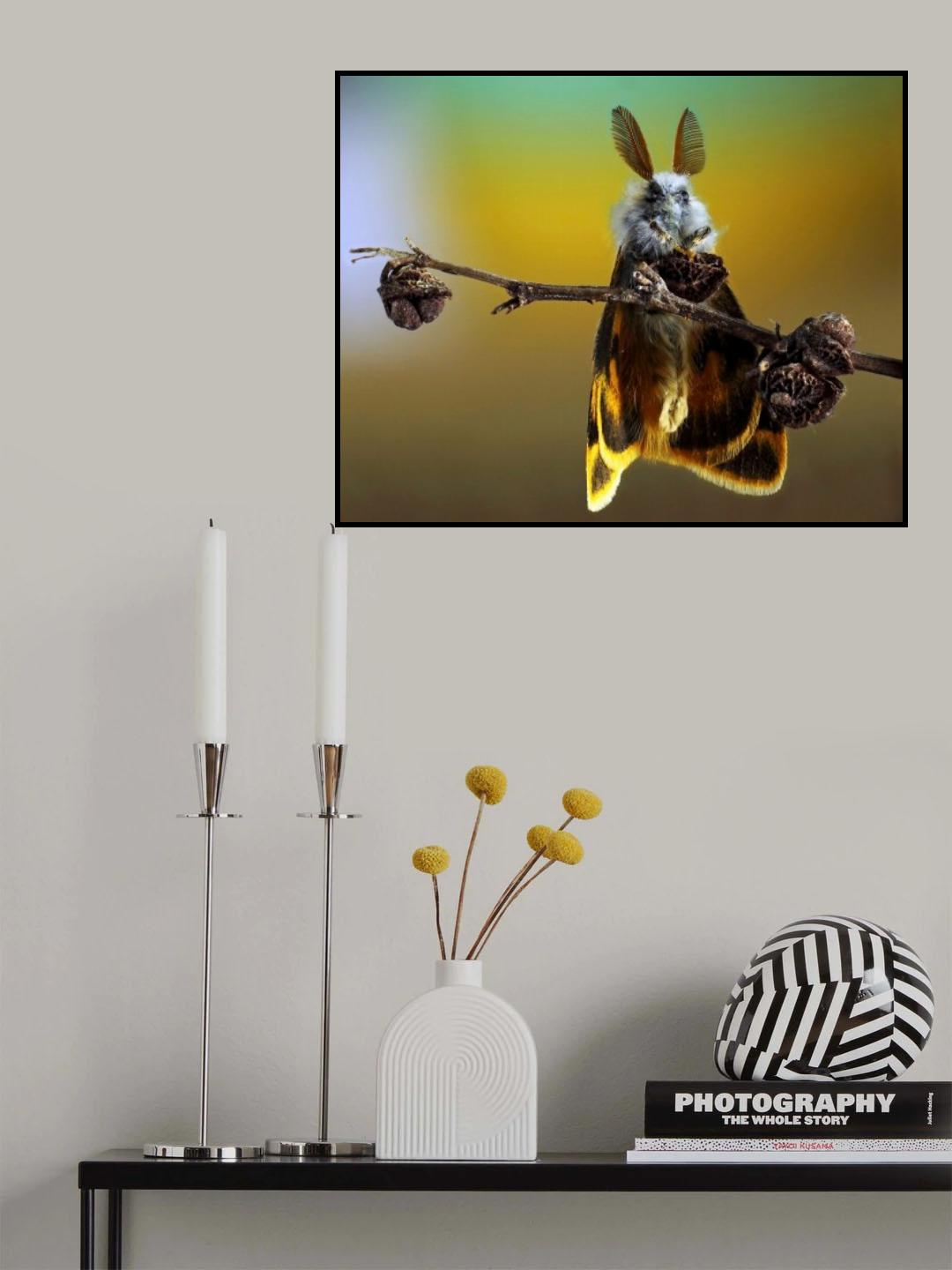 ~/ Poster och Canvastavla