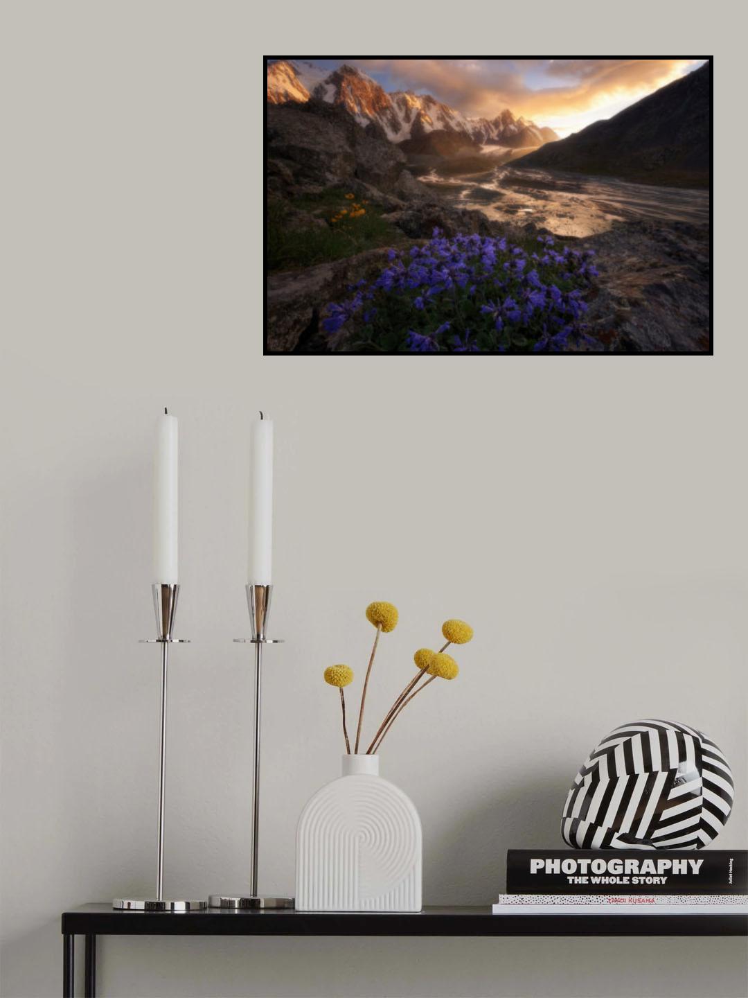 catch the golden light Poster och Canvastavla