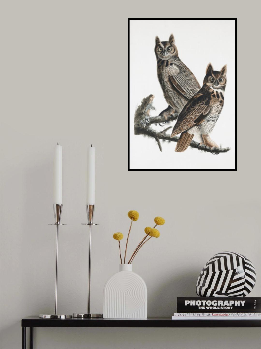 Great Horned Owl From Birds of America (1827) Poster och Canvastavla