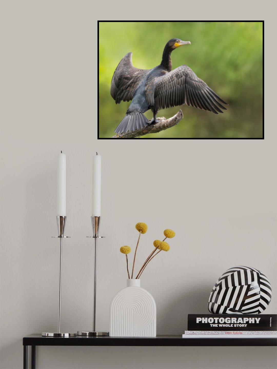 To dry Poster och Canvastavla