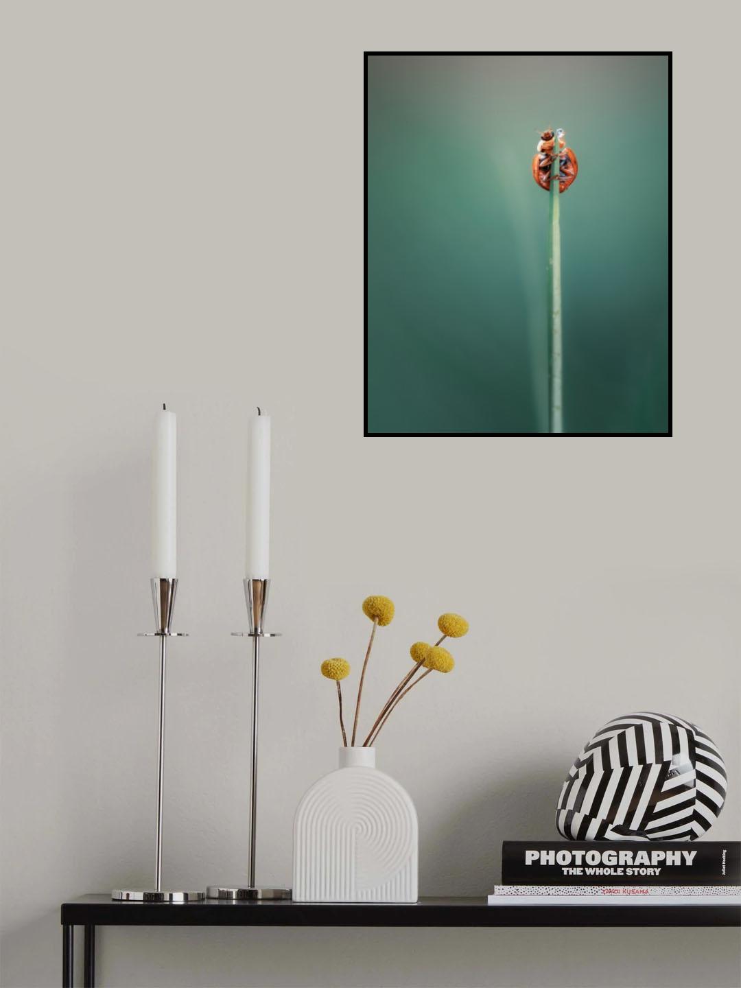 Hey, it’s me Poster och Canvastavla