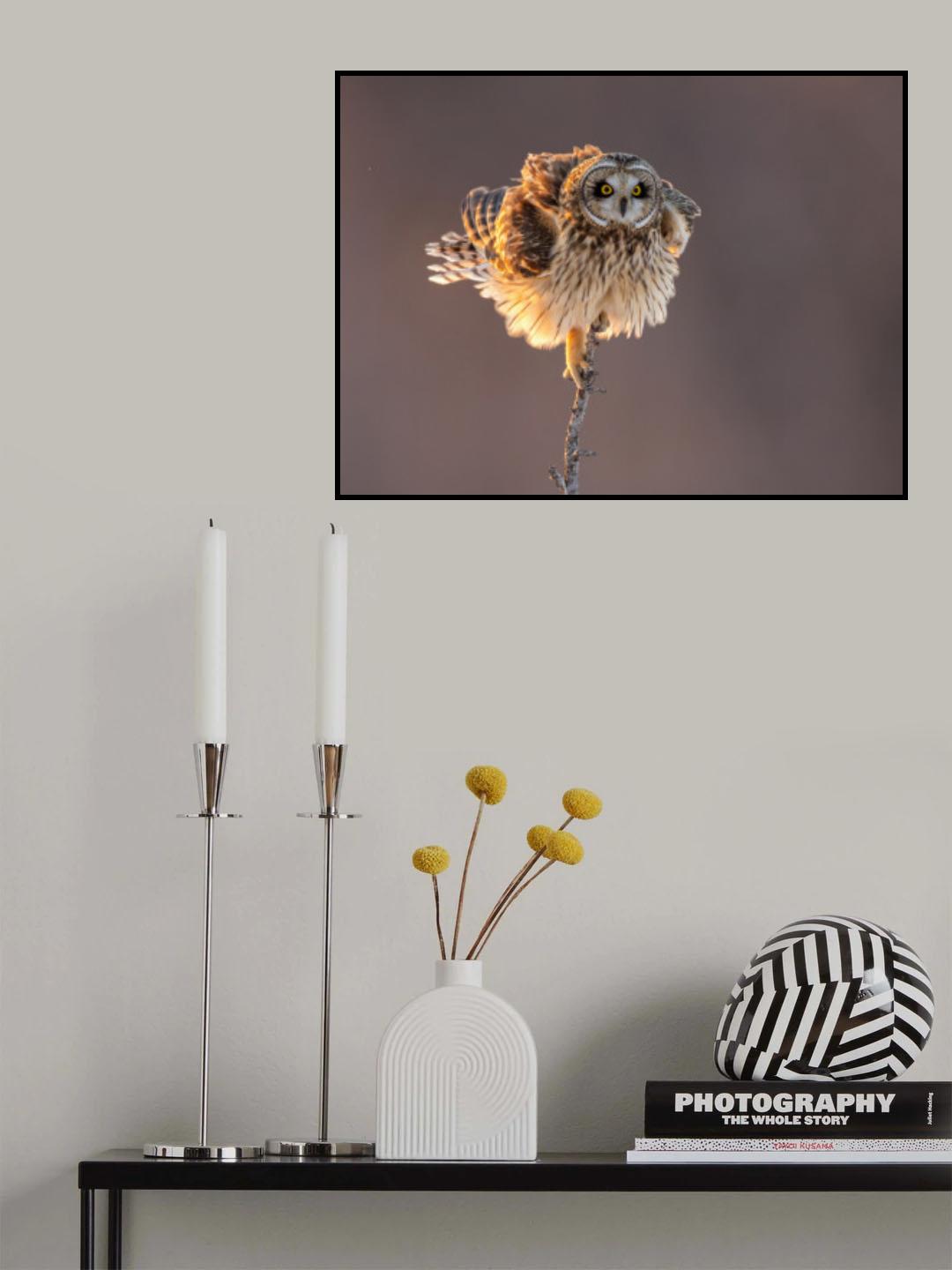 Fluff-up Poster och Canvastavla